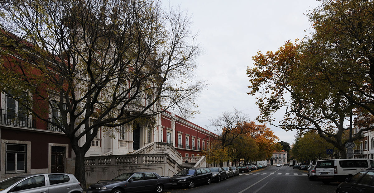 Apartments in central Lisbon...